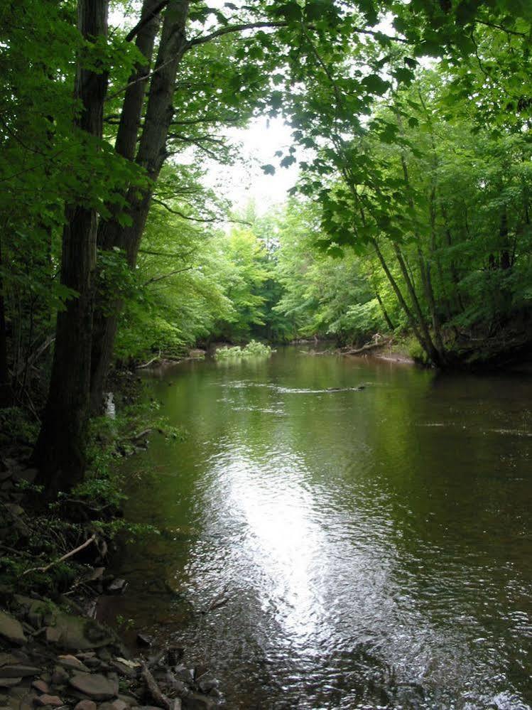The Kaaterskill Catskill Εξωτερικό φωτογραφία