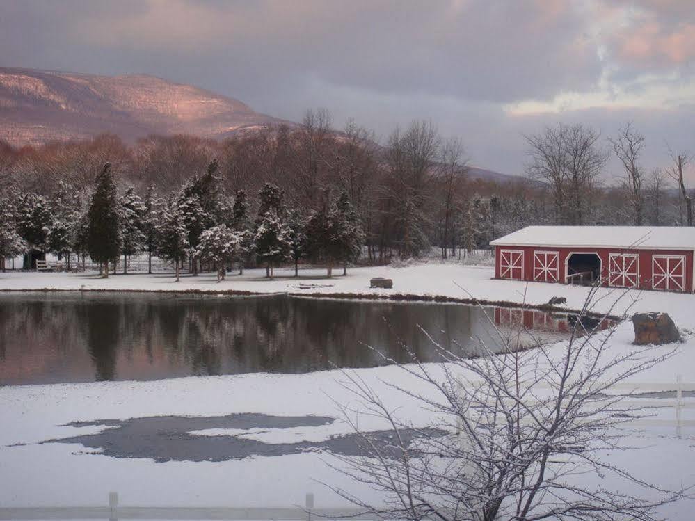 The Kaaterskill Catskill Εξωτερικό φωτογραφία